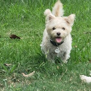 This Item Is No Longer Available.